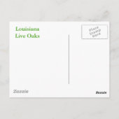 CARTE POSTALE LOUISIANA LIVE OAK TREBES (Dos)