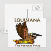 Carte Postale Louisiana Pelican State Pélican (Devant / Derrière)