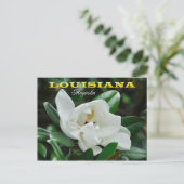 Carte Postale Louisiana State Flower : Magnolia (Debout devant)