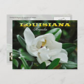 Carte Postale Louisiana State Flower : Magnolia (Devant / Derrière)