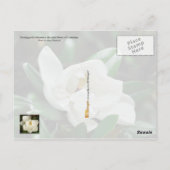 Carte Postale Louisiana State Flower : Magnolia (Dos)