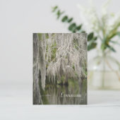 Carte postale Louisiane (Debout devant)