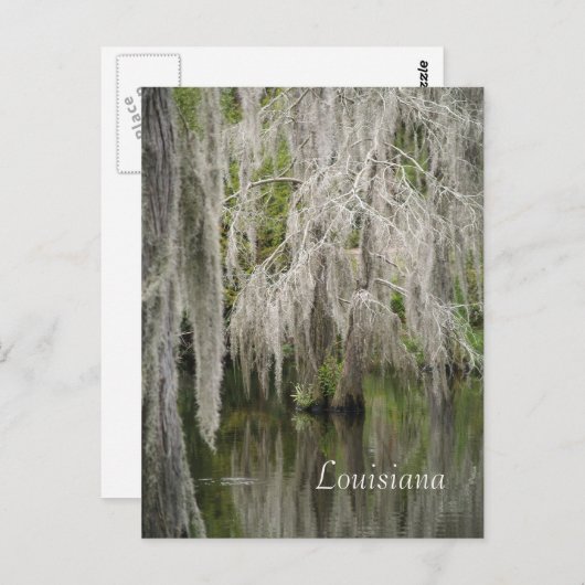 Carte postale Louisiane (Devant / Derrière)