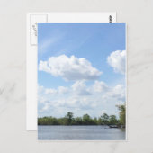 Carte Postale Louisiane Bayou (Devant / Derrière)