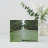 Carte Postale Louisiane Bayou (Debout devant)