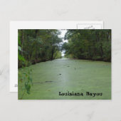 Carte Postale Louisiane Bayou (Devant / Derrière)