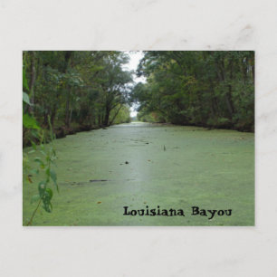 Carte Postale Louisiane Bayou
