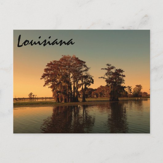 Carte Postale Louisiane bayou (Devant)