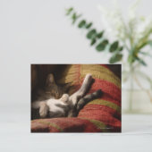 Carte Postale Lounge de chat (Debout devant)