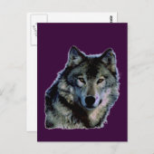 Carte Postale Loup (Devant / Derrière)