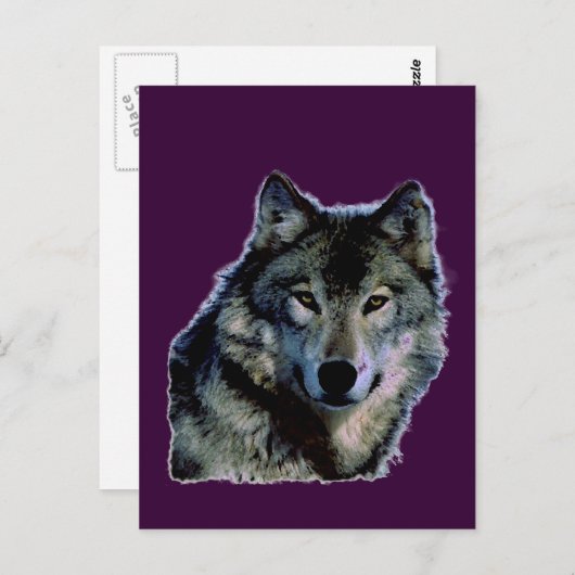 Carte Postale Loup (Devant / Derrière)