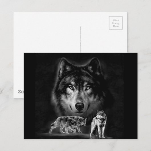 Carte Postale loup (Devant / Derrière)