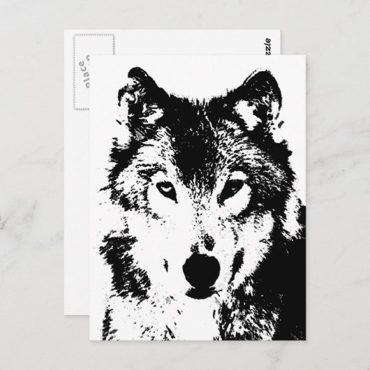 Carte Postale Loup (Devant / Derrière)