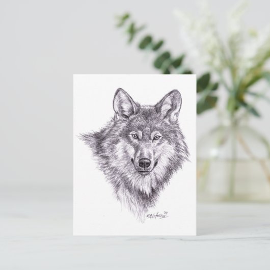 Carte Postale loup (Debout devant)