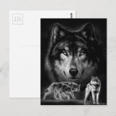 Carte Postale loup (Devant / Derrière)