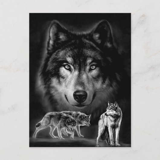 Carte Postale loup (Devant)