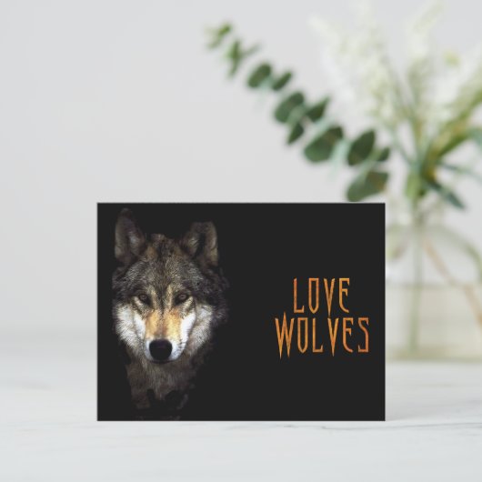 Carte Postale loup (Debout devant)