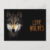 Carte Postale loup (Devant)