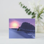 Carte Postale loup (Debout devant)