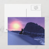 Carte Postale loup (Devant / Derrière)