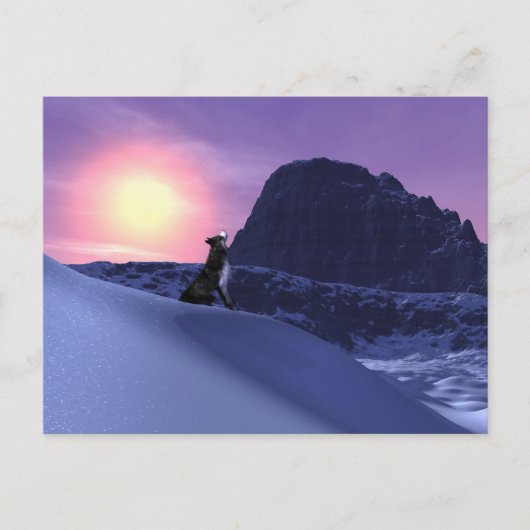 Carte Postale loup (Devant)