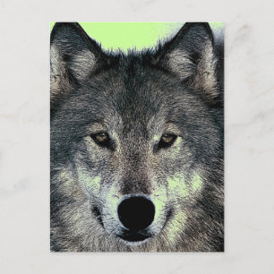 Carte Postale Loup