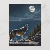 Carte Postale Loup (Devant)