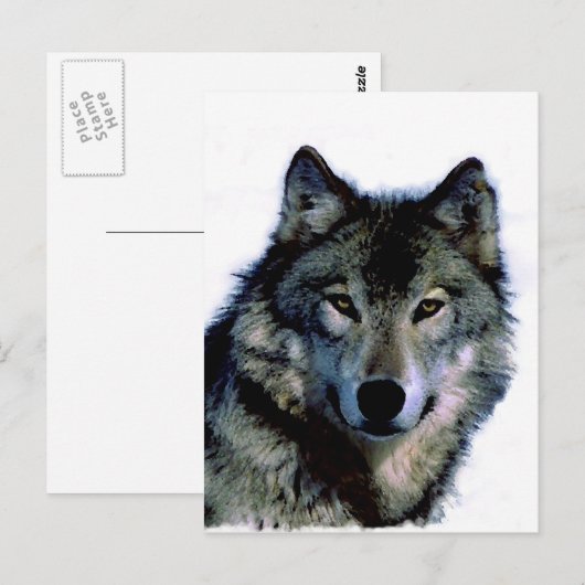 Carte Postale Loup (Devant / Derrière)