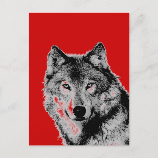 Carte Postale Loup (Devant)