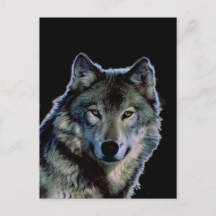 Carte Postale Loup