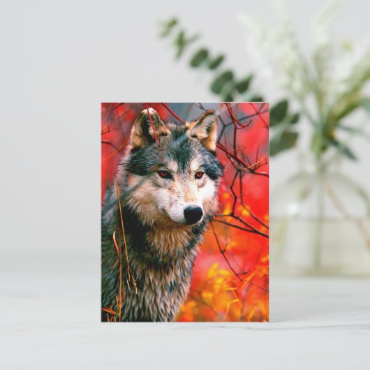 Carte Postale Loup à travers les feuilles dans une forêt (Debout devant)