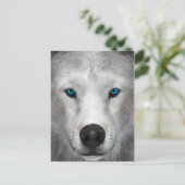 Carte Postale Loup Arctique (Debout devant)
