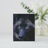 Carte Postale Loup au clair de lune (a) (Debout devant)