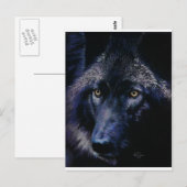 Carte Postale Loup au clair de lune (a) (Devant / Derrière)