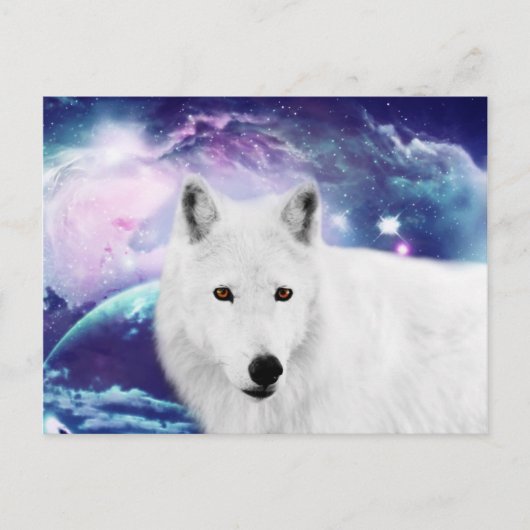 Carte Postale Loup blanc (Devant)