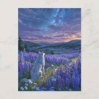 Carte Postale Loup Blanc dans la Prairie de Lupin Pourpre
