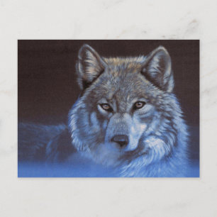 Carte Postale Loup bleu