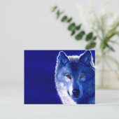 Carte Postale Loup bleu (Debout devant)