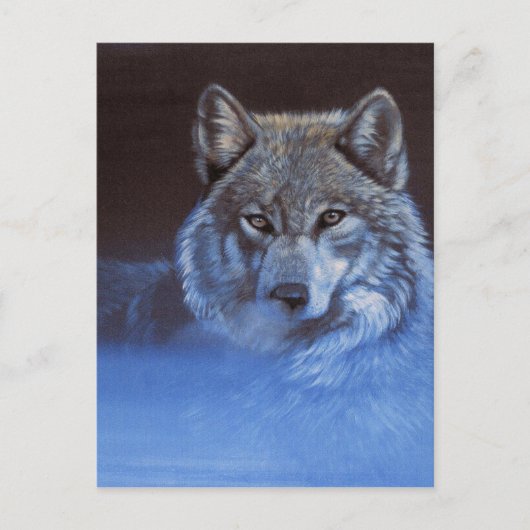Carte Postale Loup bleu (Devant)