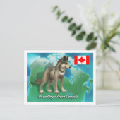 Carte Postale Loup canadien (Debout devant)