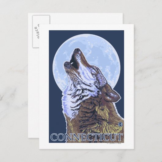 Carte Postale Loup ConnecticutHowling (Devant / Derrière)