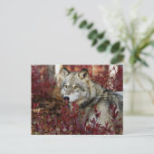 Carte Postale Loup dans l'affaire Foliage (Debout devant)