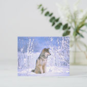 Carte Postale Loup de bois assis dans la neige, Canis lupus, (Debout devant)
