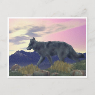 Carte Postale Loup de grand pays