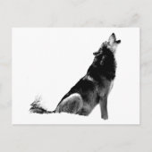 Carte Postale Loup de Howling blanc noir (Devant)