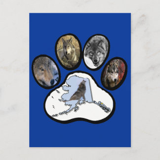 Carte Postale Loup de l'Alaska Paw
