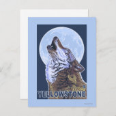 Carte Postale Loup de YellowstoneHowling (Devant / Derrière)