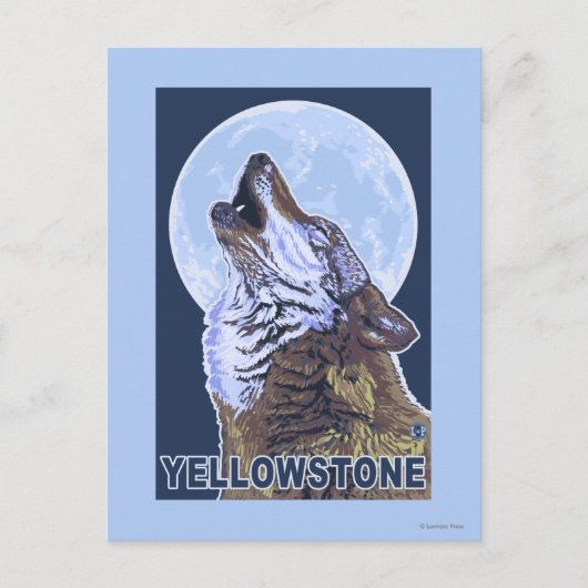 Carte Postale Loup de YellowstoneHowling (Devant)