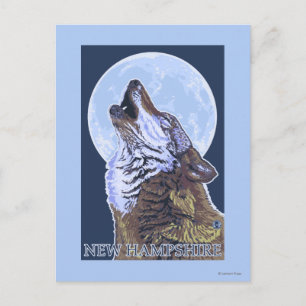 Carte Postale Loup du New HampshireHowling
