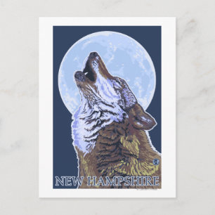 Carte Postale Loup du New HampshireHowling